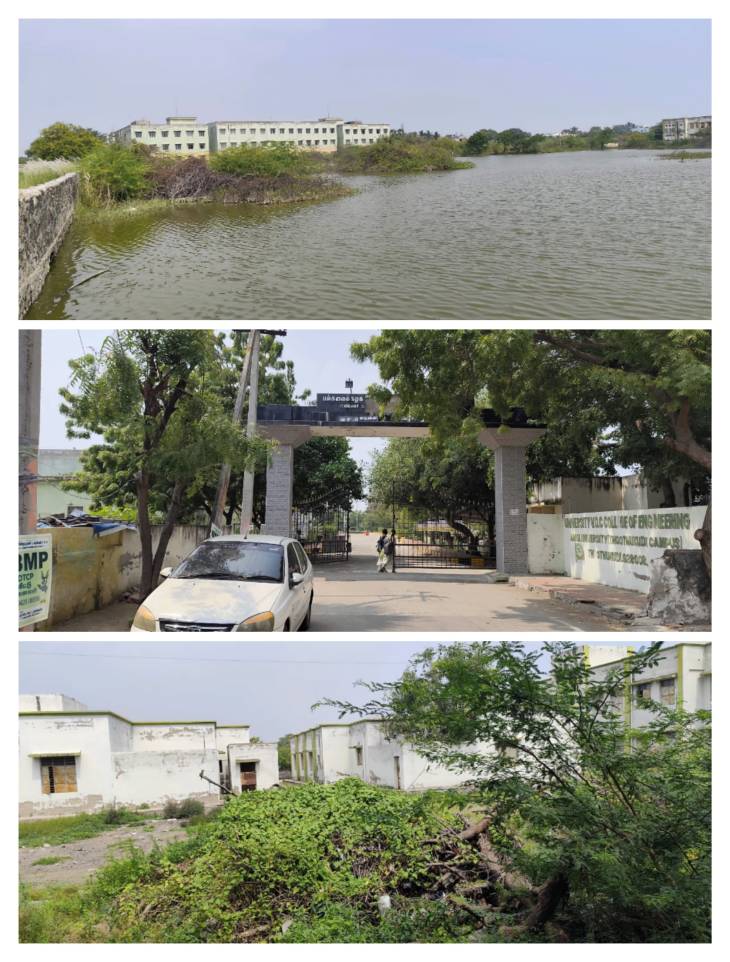 அண்ணா பல்கலைக்கழக வளாகத்தில் முள்புதர்கள் அகற்றப்படாத அவலம் – மாணவர் பாதுகாப்பை அலட்சியப்படுத்தும் நிர்வாகத்திற்கு பாஜக கடும் கண்டனம்!!